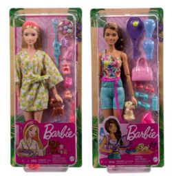 BARBIE - FITNESS ET BIEN-ÊTRE ASST.